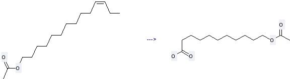 11-Tetradecen-1-ol,1-acetate, (11Z)- is used to produce 11,12-Dioxotetradecane-1-yl acetate.